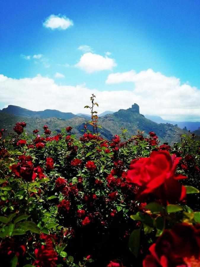 منزل الضيف تيخيدا  في El Rincon Del Nublo المظهر الخارجي الصورة