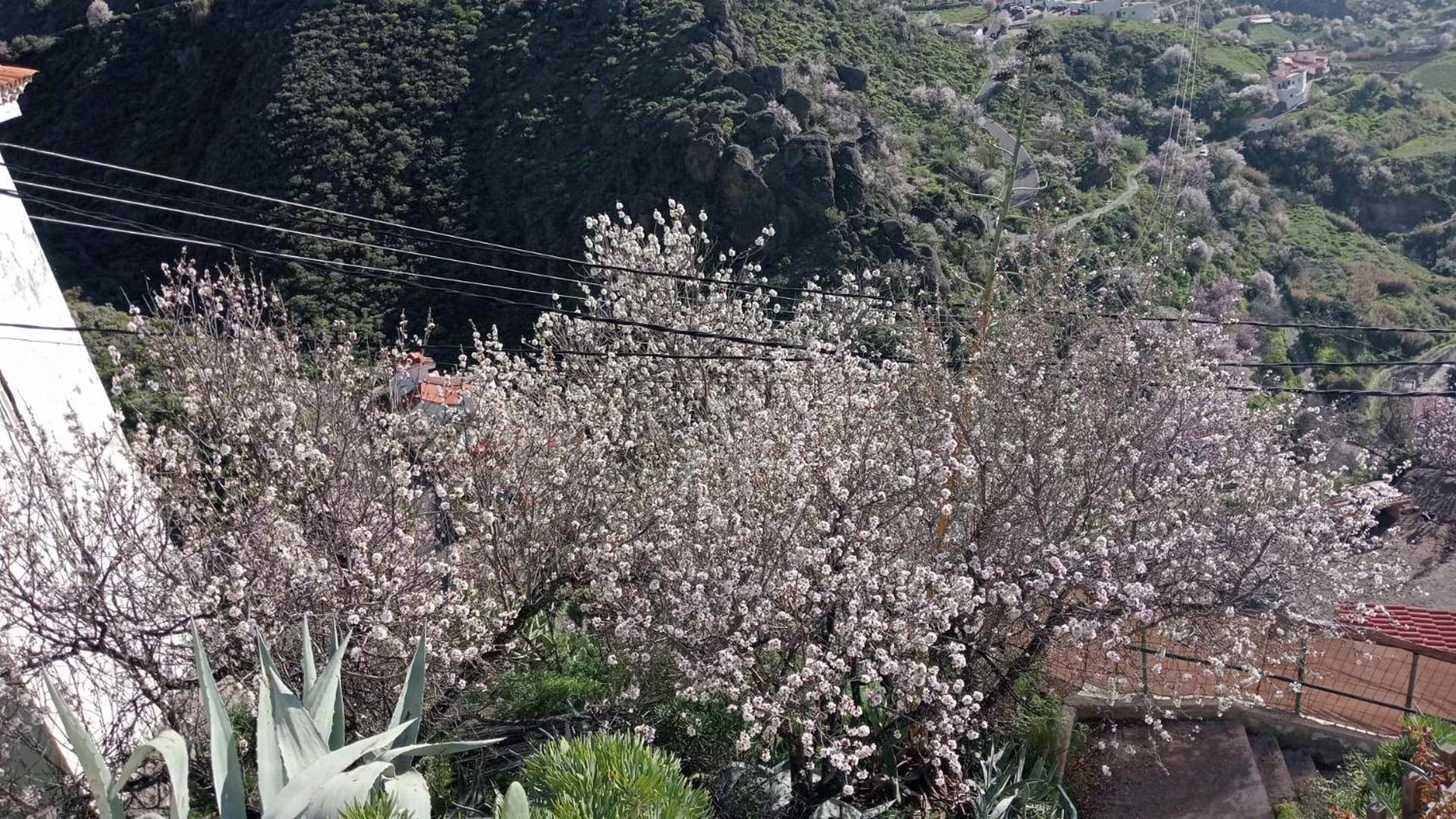 منزل الضيف تيخيدا  في El Rincon Del Nublo المظهر الخارجي الصورة